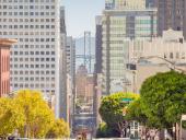 Pituitary Disorders CME Course in San Francisco